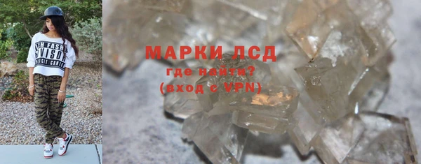 молекула духа Арсеньев