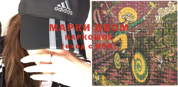 молекула духа Арсеньев