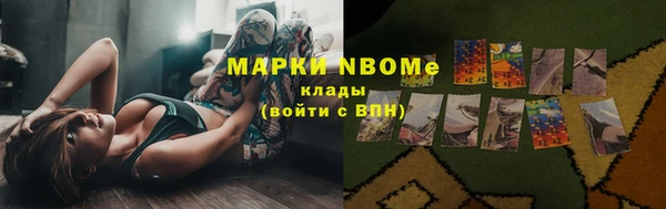 молекула духа Арсеньев
