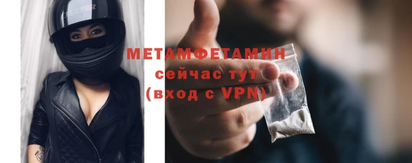 ГАЛЛЮЦИНОГЕННЫЕ ГРИБЫ Лагань