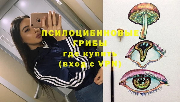 мескалин Ладушкин